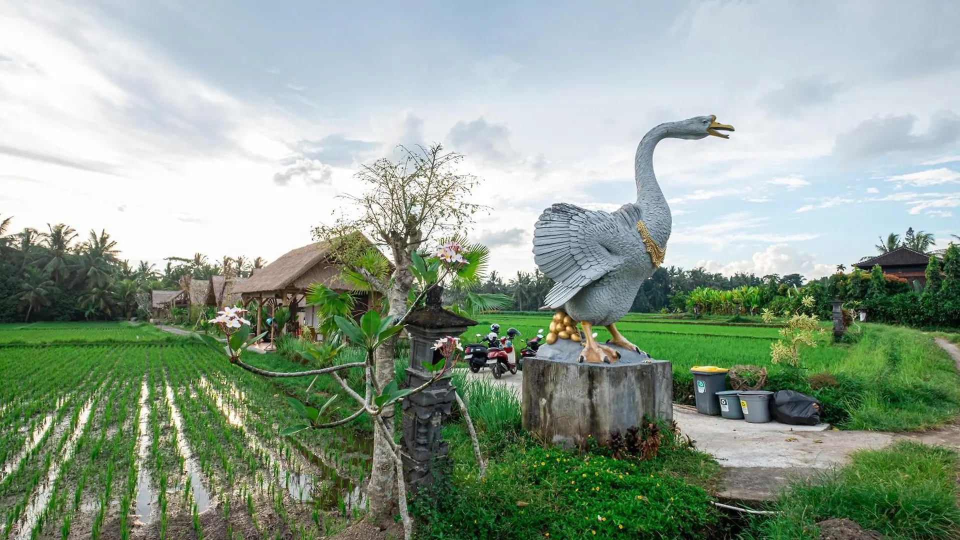 Pondok Mawas 乌布 印尼