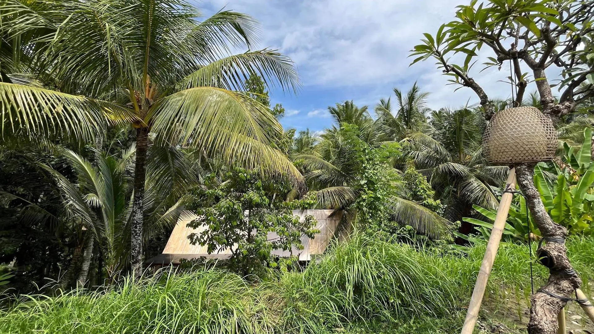 Pondok Mawas 乌布